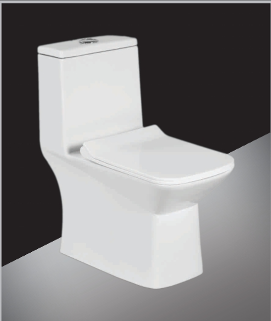  Lunar One Piece  Toilet