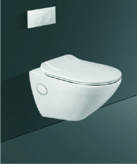 Silk Wall Hung Toilet